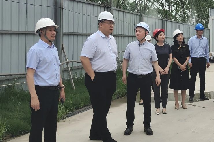 成都市新津區(qū)副區(qū)長李明到成都區(qū)域項目檢查指導(dǎo)工作.jpg